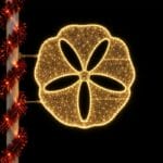 Illuminated sand dollar holiday light decoration at night