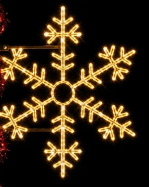 Illuminated snowflake holiday light decoration at night