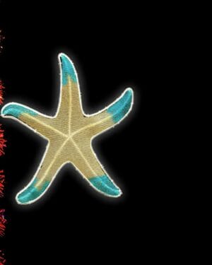 Starfish ornament with turquoise tips on black background