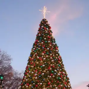 Tree Toppers