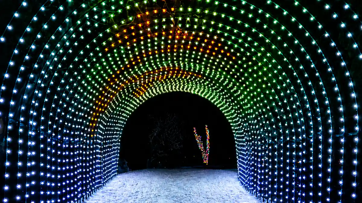 Commercial Christmas Lighting & Decor Trends 2026