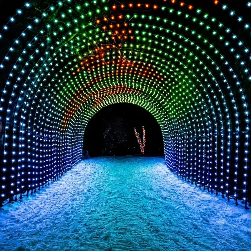 RGB Walk Through Tunnel