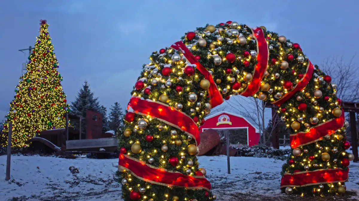 Illuminated Christmas arch and tree in snowy park