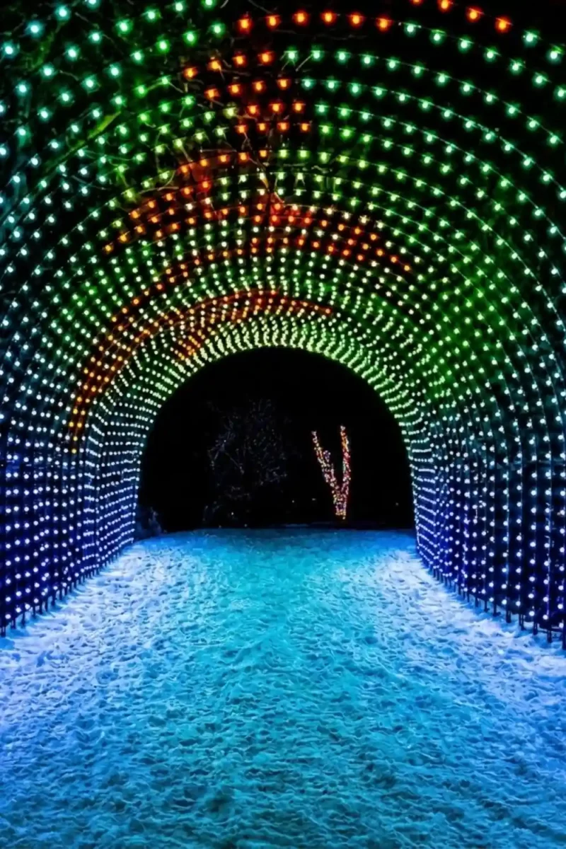 Snowy path through multicolored holiday light tunnel