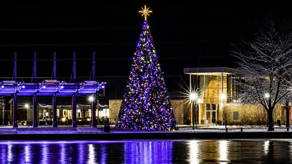 Illuminated Christmas tree beside a snowy waterfront at night