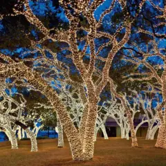 Commercial Christmas Lights