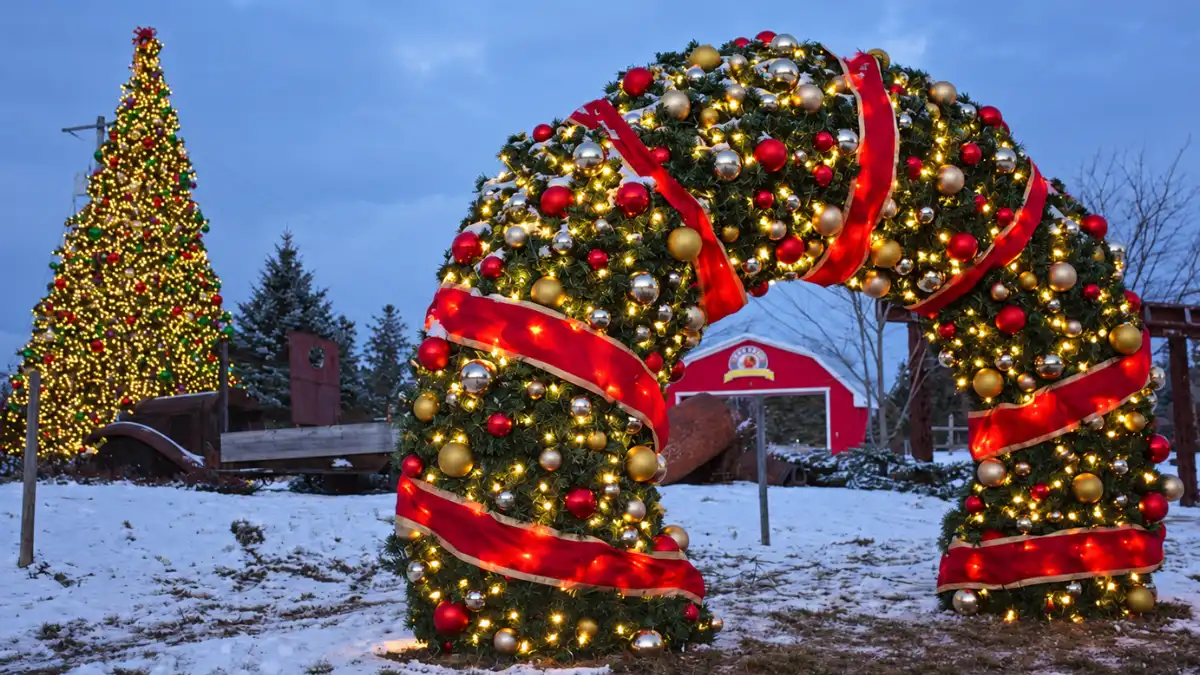 Illuminated Christmas arch and tree in snowy park