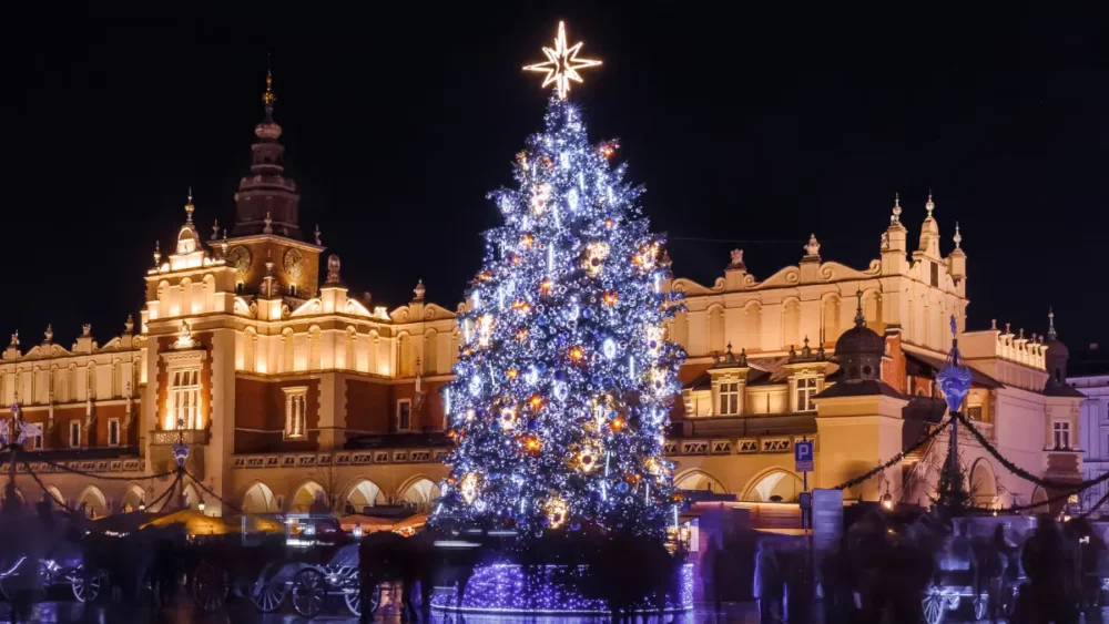 Illuminated Christmas tree before historic building at night