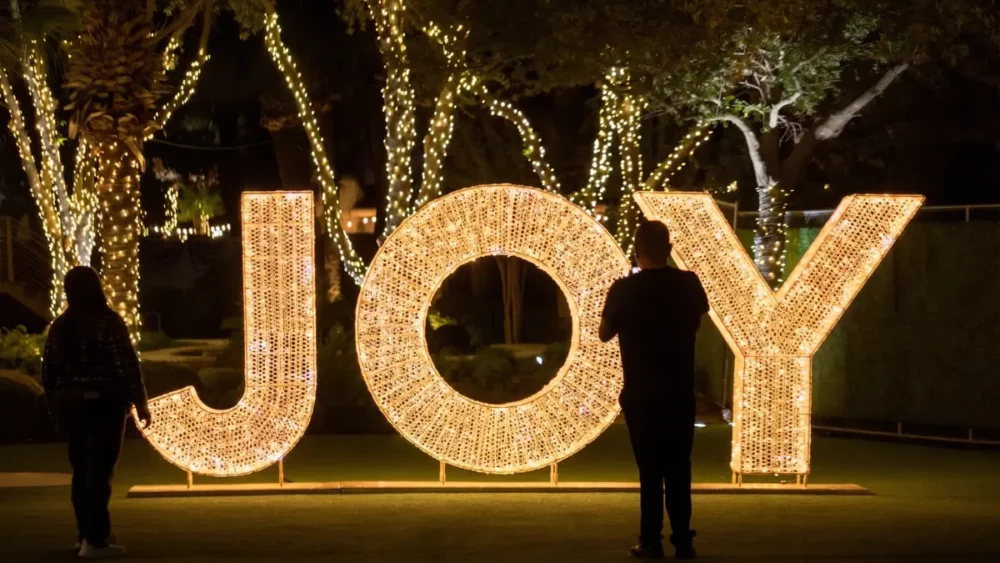 Illuminated JOY sign amid trees wrapped in lights